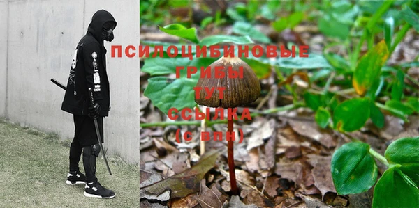мескалин Аркадак