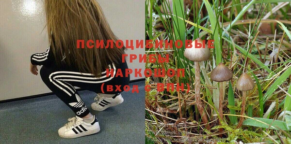 ALPHA-PVP Инсар