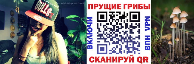 Галлюциногенные грибы мухоморы  наркотики  Георгиевск 